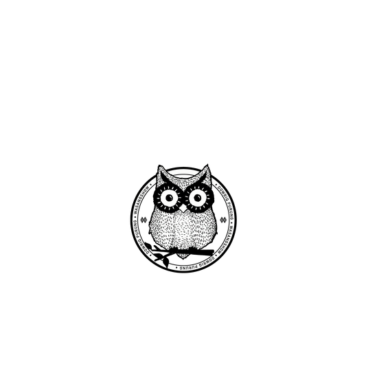 RhinoShield X WasangShow SolidSuit Samsung Galaxy A73 Case - Aboriginal Owl
