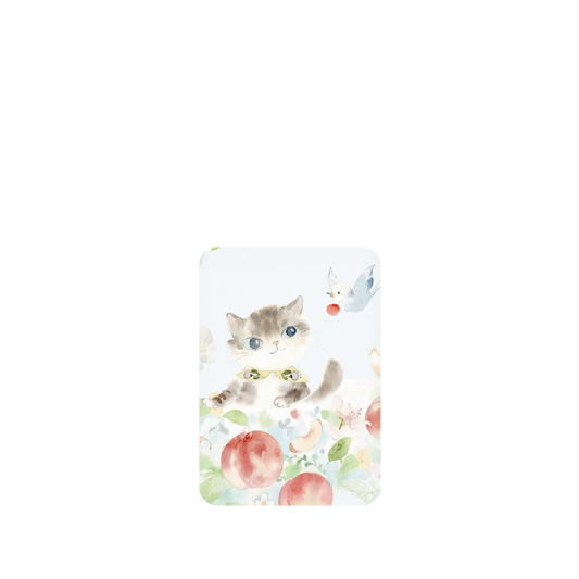 RhinoShield X Liang Feng SolidSuit ASUS Zenfone 8 Flip Case - Kitty