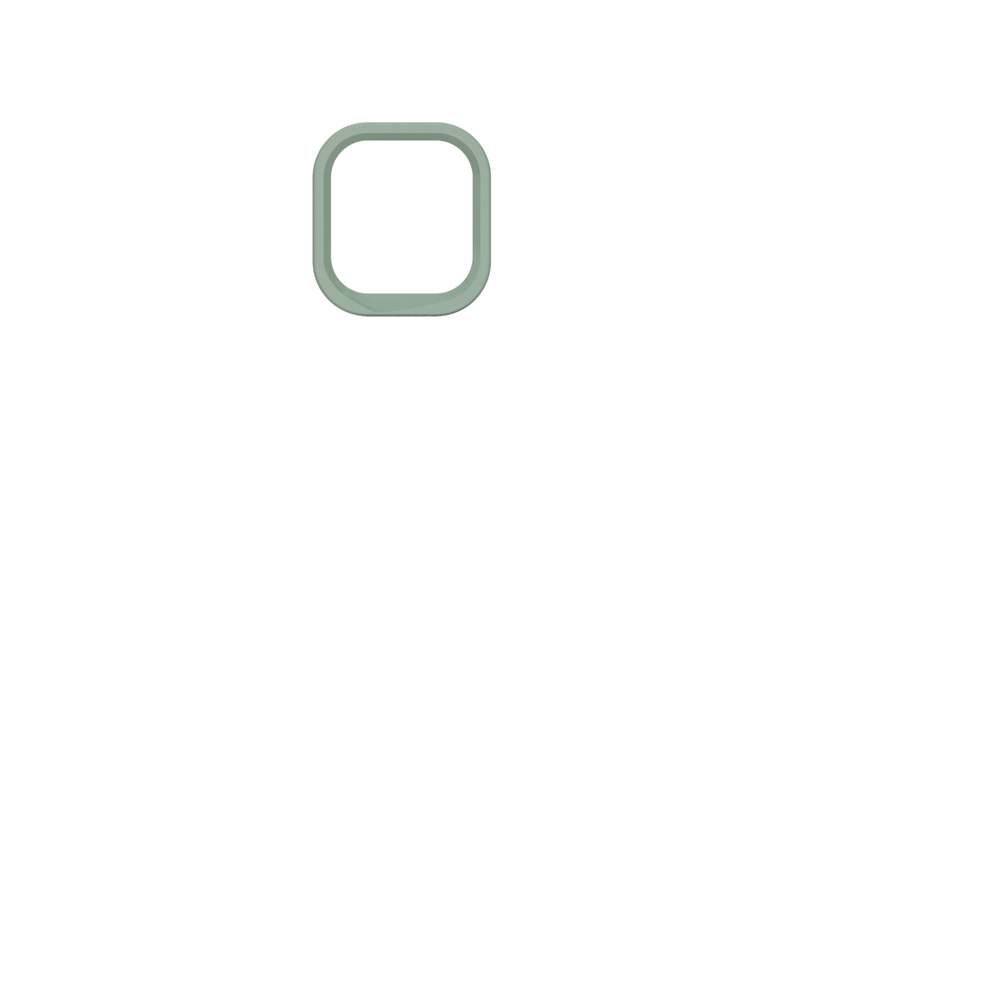 cameraring:Sage Green