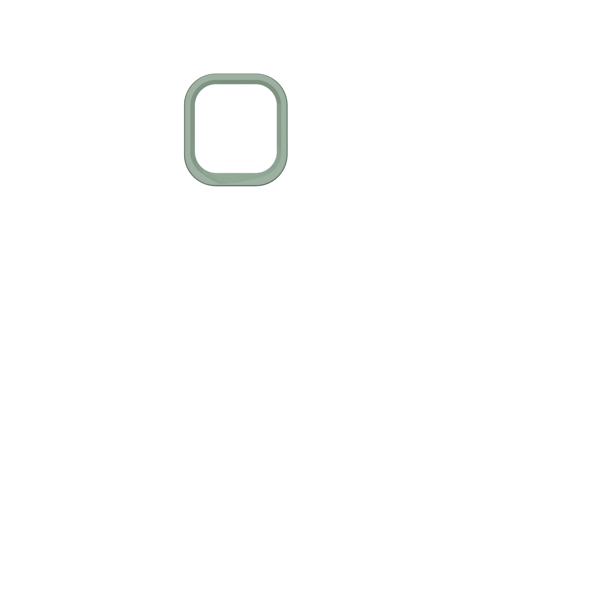 cameraring:Sage Green