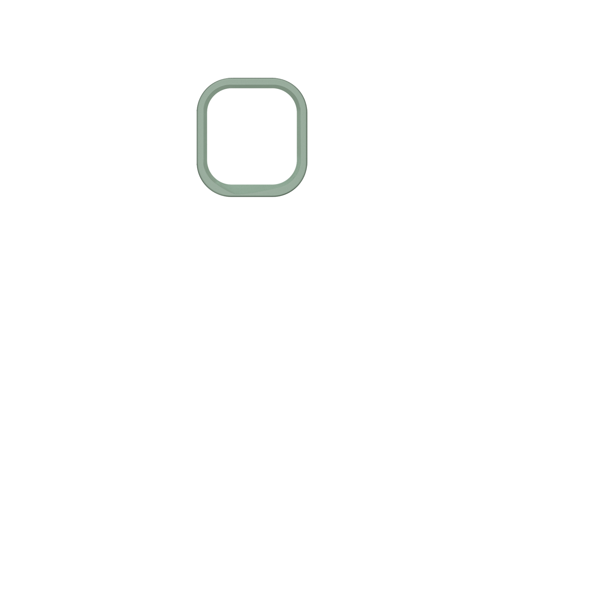 cameraring:Sage Green
