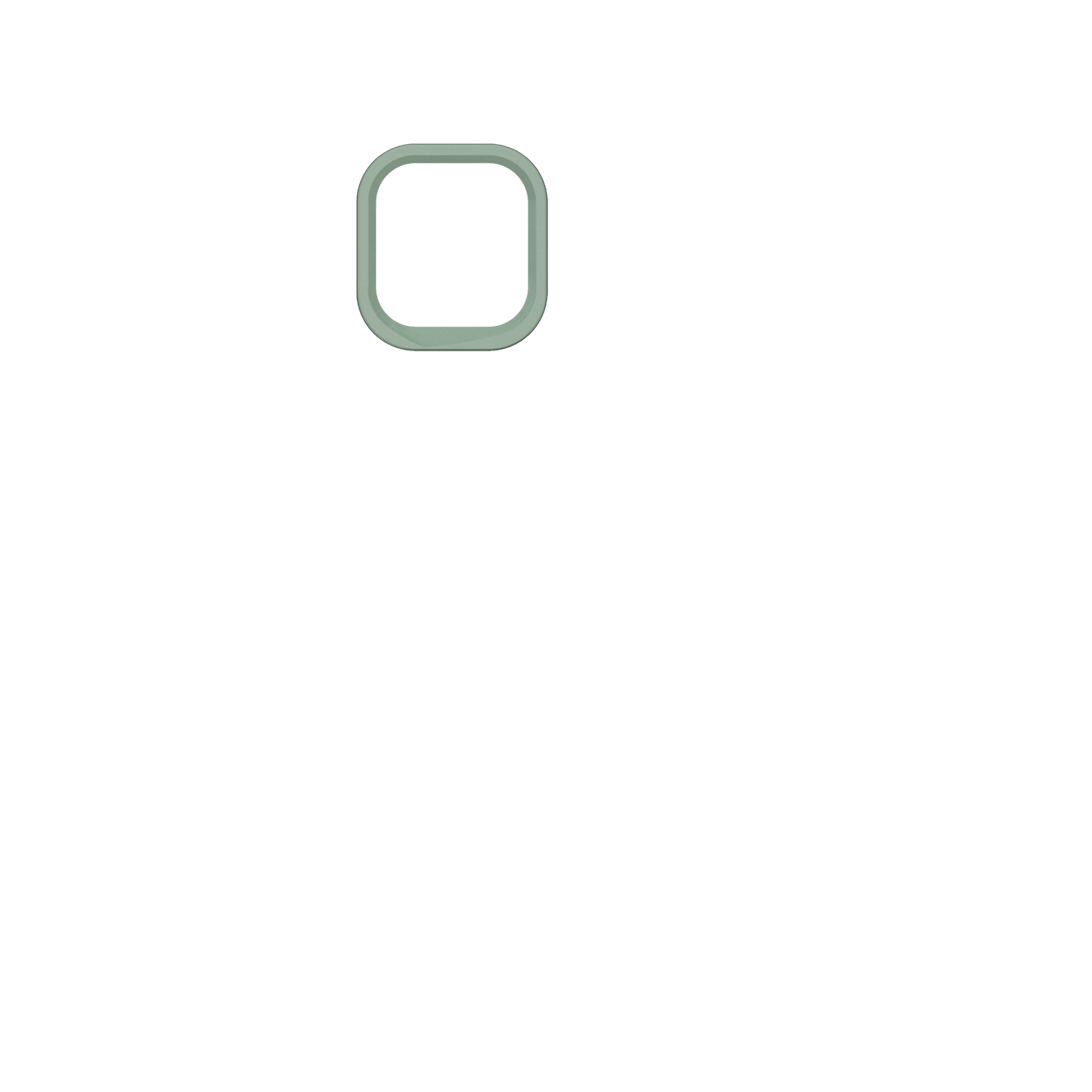 cameraring:Sage Green