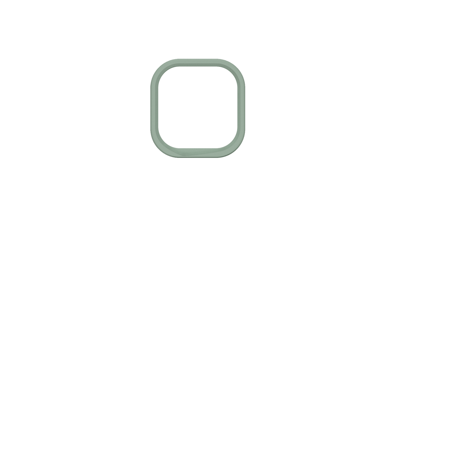 cameraring:Sage Green