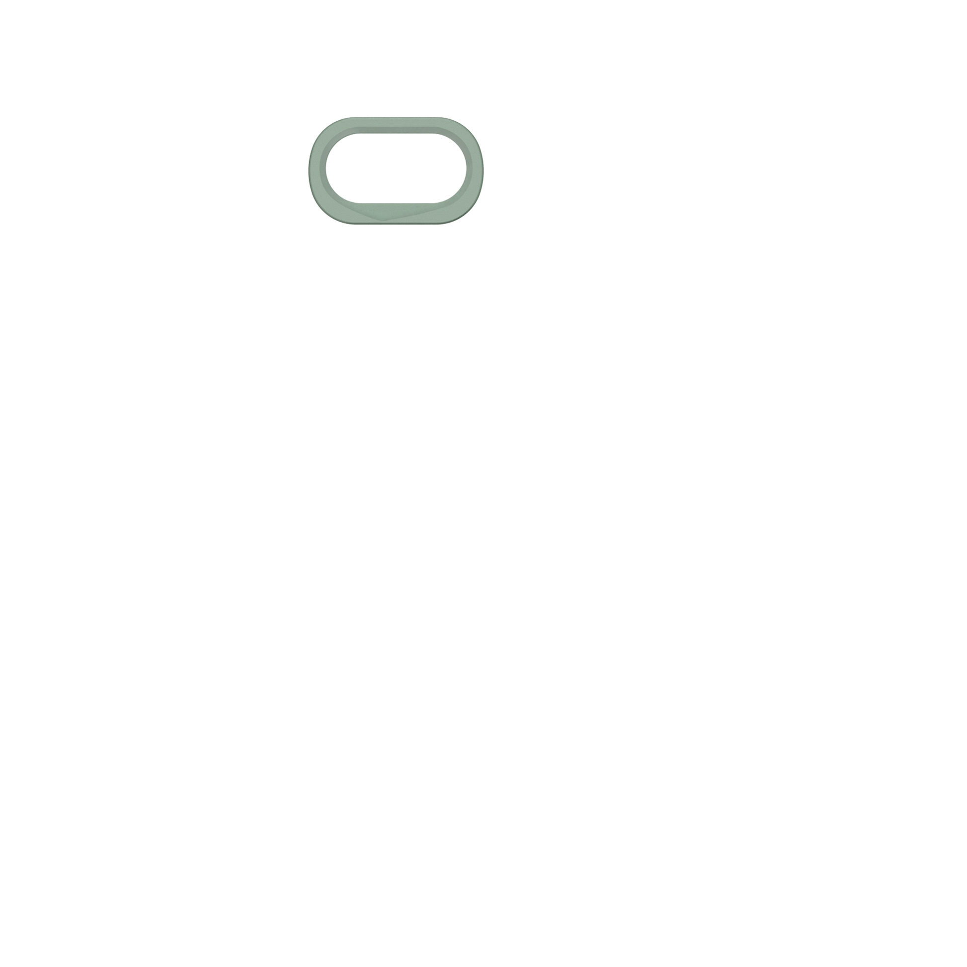 cameraring:Sage Green